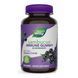 Sambucus Immune Support - 60 gummies 2022-10-1101 фото 1