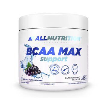 BCAA Max Support - 250g Black curant 100-29-3636490-20 фото