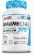 Amix Performance Amix MagneChel Magnesium Chelate - 90 веган капс 3686345 фото 1