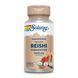 Org Grown Fermented Reishi 1000mg - 60 caps 2023-10-2147 фото 1
