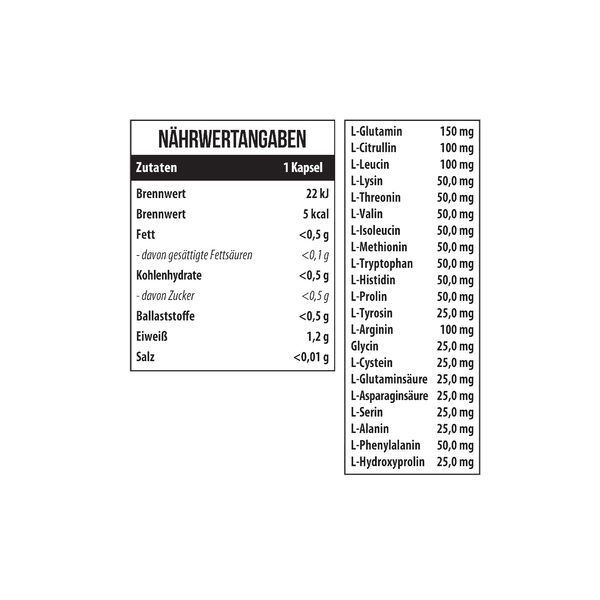 MST&reg; 21 Amino Acids 1100 mg 120 caps 1163940 фото