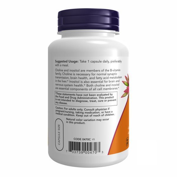 Choline & Inositol 250/250mg - 100 vcaps 2022-10-0004 фото