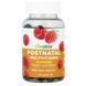 Postnatal - 60 gummies 5757359473 фото 1