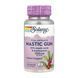 Mastic Gum Extract 500mg - 45 vcaps 2023-10-5274 фото 1