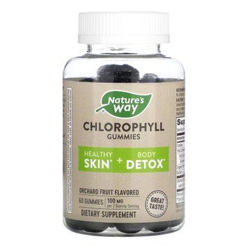 Chlorophyll Gummy - 60 ct 2022-10-1724 фото