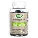 Chlorophyll Gummy - 60 ct 2022-10-1724 фото 1