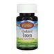 Chelated Iron - 100 tabs 2023-10-4569 фото 1