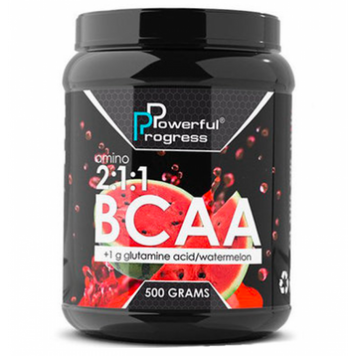 BCAA 2:1:1 + Glutamine - 500g Watermelon 100-56-0406096-20 фото
