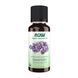 Lavender Oil - 30 ml 2023-10-3283 фото 1